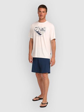 O'Neill ONeill Hybrid 19 Shorts blau