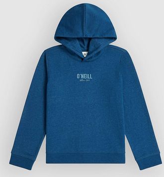O'Neill Essentials Kids Hoodie blauw