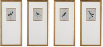 Frontgate Antique Hummingbird Giclee Prints - Print III - Frontgate