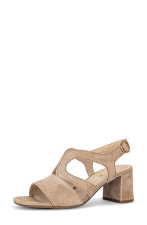 Gabor Ankle Strap Sandal at Nordstrom, Size 6.5Us