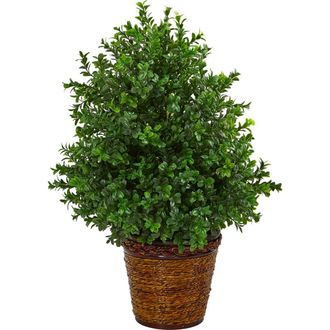 Nearly Natural 23-in Sweet Grass Artificial Plant in Basket in Green at Nordstrom