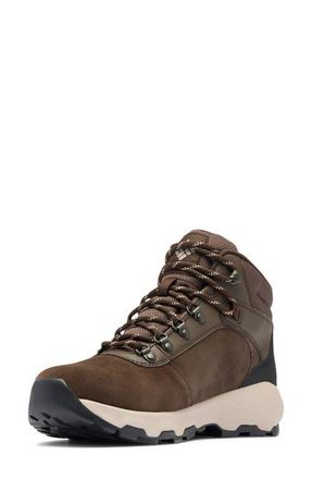 Columbia Newton Wander Waterproof Hiking Boot in Cordovan/Soft Taupe at Nordstrom, Size 7.5