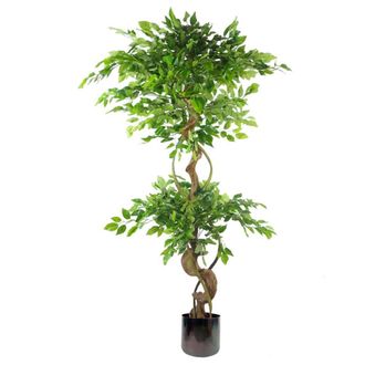 Leaf 150cm Twisted Trunk Artificial Japanese Fruticosa Ficus Tree Rainbow Planter in Green