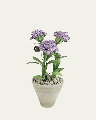 Tommy Mitchell Carnation January Birth Flower in White Terracotta Pot