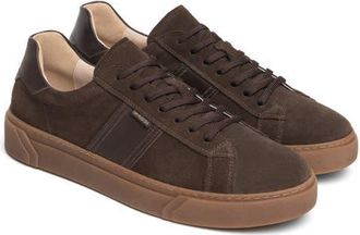Nero Giardini Leather Low Top Sneaker in Chocolate at Nordstrom, Size 43
