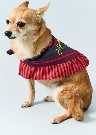Anthropologie Apres Ski Ruffle Pet Bandana