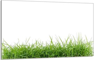 OEM Placa Protectora De Vidrio Para Estufa 80x52 Blanco