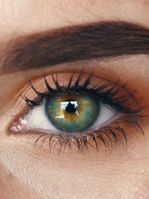 Close up von einem weiblichen Auge mit grünen Augen und einer dunklen Augenbraue.