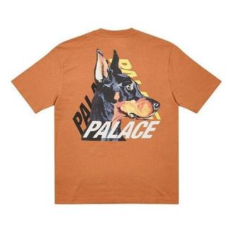 Palace P-3-K-9 T-Shirt Caramel P22TS166