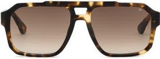 Philipp Plein Sunglasses Men in Brown at Nordstrom, Size +0.00