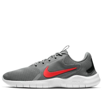 Nike Flex Experience Run 9 Particle Grey CD0225-008