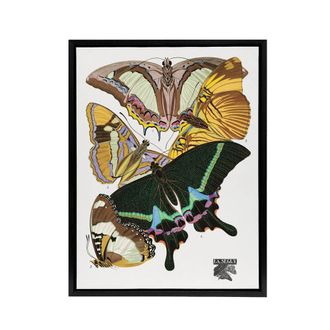 Artery8 Bright Vintage Butterflies Papillons Framed Canvas Wall Art Print Seguy | Size: W24 x H32