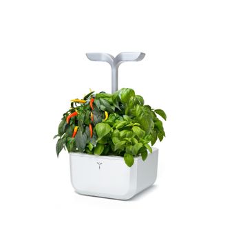 V&eacute;ritable Exky Smart Indoor Garden