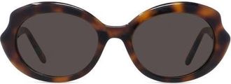 Loewe Thin Mini 54mm Oval Sunglasses in Dark Havana /Brown at Nordstrom
