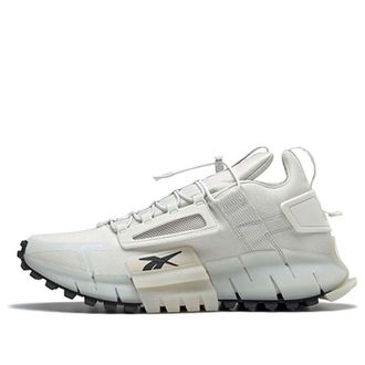 Reebok Zig Kinetica Edge True Grey FV3837
