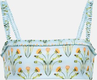 Agua Bendita Olmo Diente de Leon bikini top