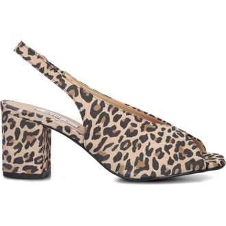 Notre-V Dames, Schoenen, Veelkleurig, Maat: 41 EU Leer