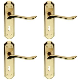Loops 4x PAIR Curved Lever on Sculpted Edge Backplate 180 x 48mm Satin/Polished Brass in Metallics