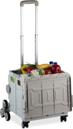 Relaxdays Carro Compra Plegable, Cesta Con Ruedas Subeescaleras, Tapa, Asa Telesc&oacute;pica, Hasta 50 Kg, Blanco/gris - Relaxdays