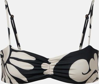 Cala de la Cruz Lilo printed bikini top