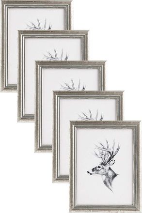 Woltu Woltu 5x Cornice Foto Da Tavolo Da Muro 30x40cm, Argento