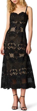 Steve Madden Willow Scalloped Floral Lace Midi Dress in Black at Nordstrom, Size 12