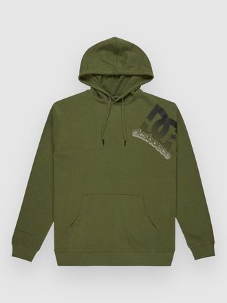 DC Solid Lefty Ph Hoodie groen