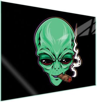 OEM Placa Protectora De Vidrio Para Estufa 70x52 Ufo