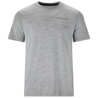 ENDURANCE Abdon Melange S/S Tee Funktionsshirt f&uuml;r Herren | grau