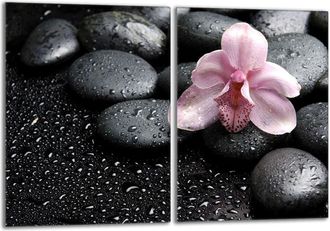 OEM Placa Protectora De Vidrio Para La Estufa 2x40x52 Orchidea