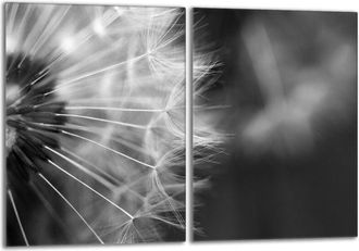 OEM Placa Protectora De Vidrio Para Estufa 2x40x52 Flor