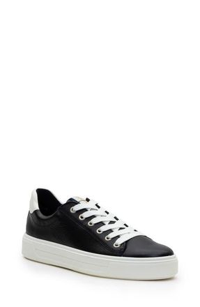 Ara Camden Sneaker in Navy Cervocalf at Nordstrom, Size 11