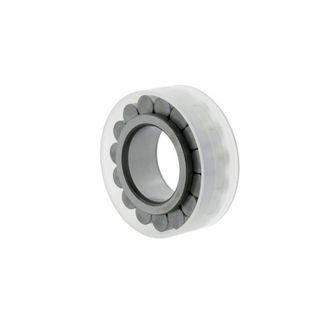 Picard Rodamiento De Rodillos Cil&iacute;ndricos 46 Mm Od 86,74 Mm Id 60 Mm Agujero Cil&iacute;ndrico Inina