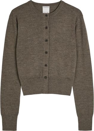 Calvin Klein Cardigan Lila - Marrone