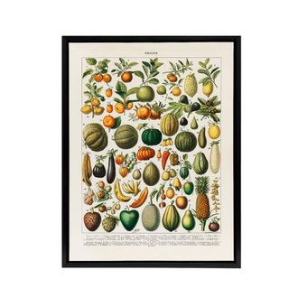 Artery8 Fruits & Vegetables French Encyclopedia Framed Canvas Wall Art in Beige | Size: W24 x H32