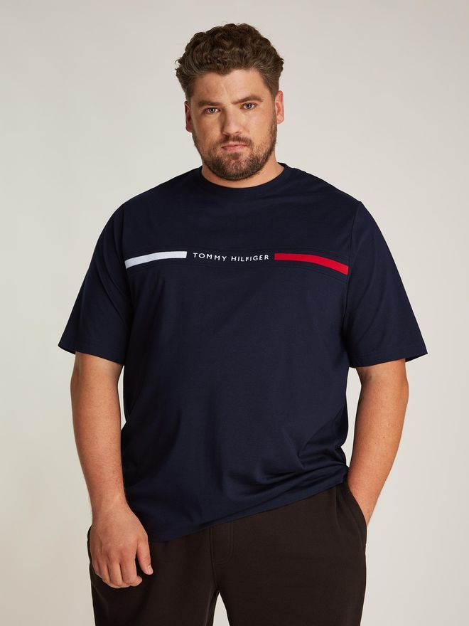 Big and tall tommy hilfiger t shirts online