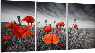 OEM Placa Protectora De Vidrio Para Estufa 3x30x52