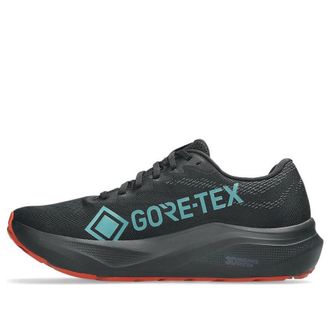 Asics GT-2000 14 Gore Tex Black Apricot Crush 1011C058-002