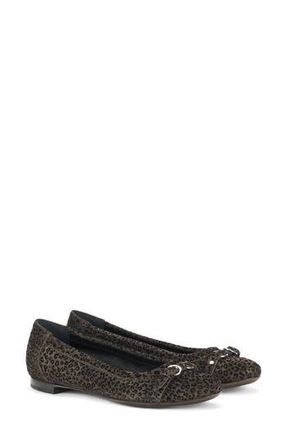 AGL Monika Leopard Print Flat in Leo Print at Nordstrom Rack, Size 11.5Us / 41.5Eu