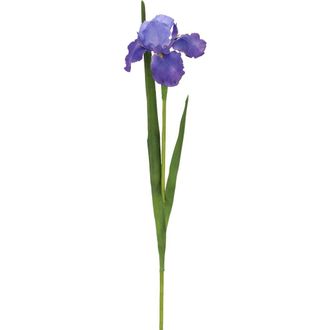 Mark Roberts Iris, Box of 12 in Blue at Nordstrom