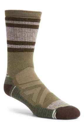 Smartwool Hike Full Cushion Lolo Trail Wool Blend Crew Socks in Winter Moss at Nordstrom, Size Medium