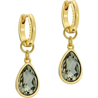 Ted Baker Divine Crystal Drop Huggie Hoop Earrings in Gold Tone/Black Crystal at Nordstrom