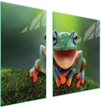 OEM Placa Protectora De Vidrio Para Estufa 90x52 Frog