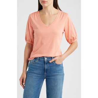 Nic+Zoe Puff Sleeve Cotton T-Shirt in Calypso at Nordstrom, Size Xx-Large