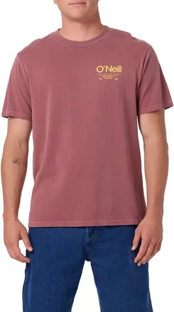 O'Neill OG Convene Vintage Graphic T-Shirt in Apple Butter at Nordstrom, Size Xx-Large