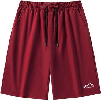 Generic Running Shorts Womens Casual Ice Silk Quick Dry Lightweight 4 Way Stretch Shorts for Women Men Drawstring Elastic Waist Summer Workout Gym with Zipper