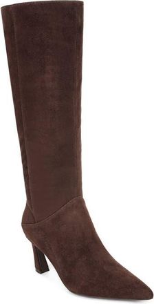 Naturalizer Edina Pointed Toe Knee High Boot in Chocolate Suede at Nordstrom, Size 7.5