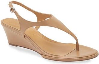 Aeyde Roose Slingback Wedge Sandal in Hazelnut at Nordstrom, Size 36