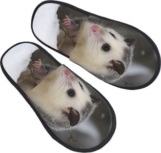 Generic Shoes Opossum In Snow Lightweight Slippers Anti-Skid Sliders For Hotel Trip Bedroom L