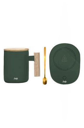 Sealy 4-Piece Mug & Warmer Pad Set in Green at Nordstrom Rack